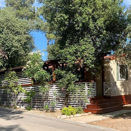 بيوغْغاد نا موغو Pine And Lavander Home المظهر الخارجي الصورة